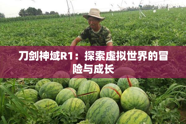 刀剑神域R1：探索虚拟世界的冒险与成长
