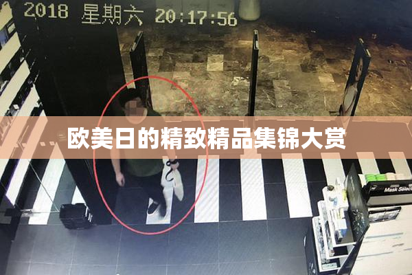欧美日的精致精品集锦大赏