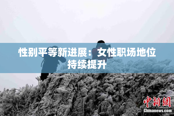 性别平等新进展：女性职场地位持续提升