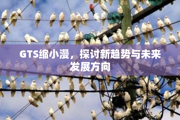 GTS缩小漫，探讨新趋势与未来发展方向