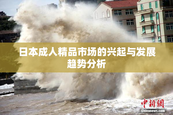 日本成人精品市场的兴起与发展趋势分析