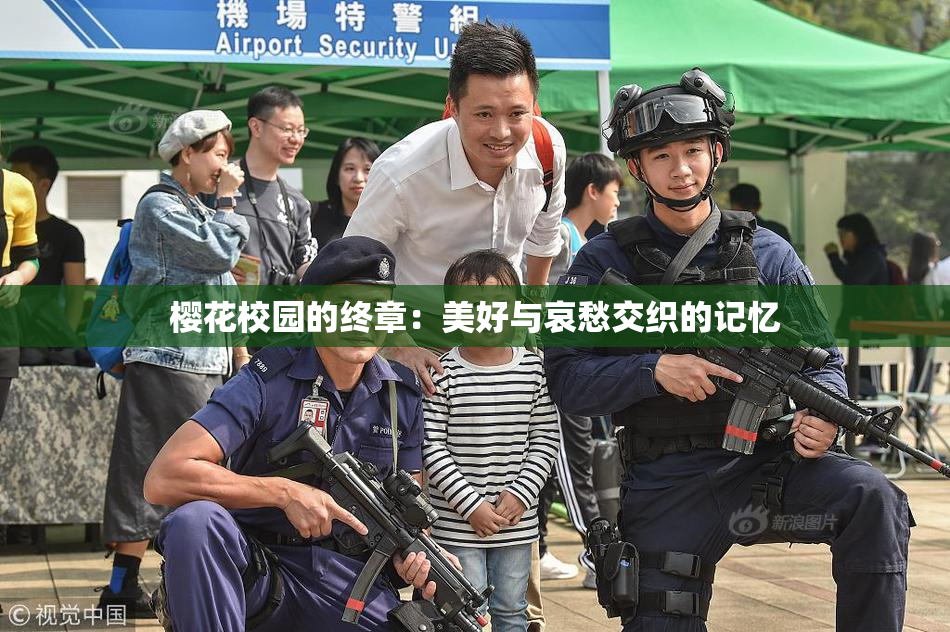 樱花校园的终章：美好与哀愁交织的记忆