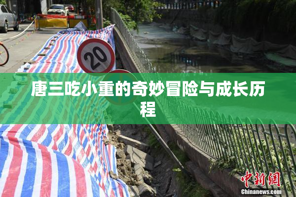 唐三吃小重的奇妙冒险与成长历程