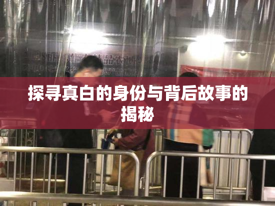 探寻真白的身份与背后故事的揭秘