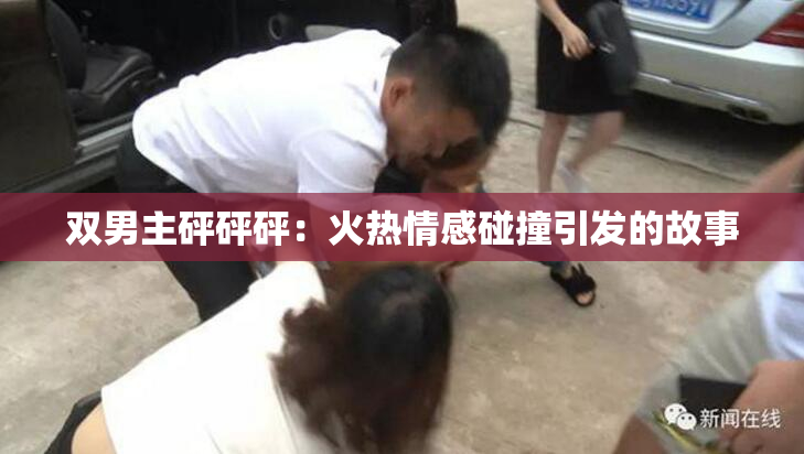 双男主砰砰砰：火热情感碰撞引发的故事