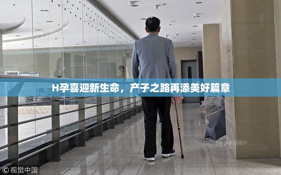 H孕喜迎新生命，产子之路再添美好篇章