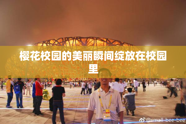樱花校园的美丽瞬间绽放在校园里