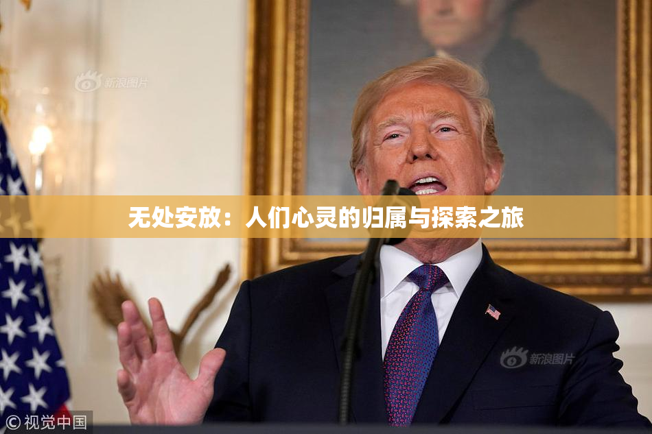 无处安放：人们心灵的归属与探索之旅