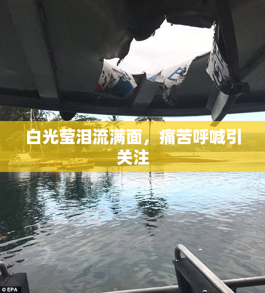 白光莹泪流满面，痛苦呼喊引关注