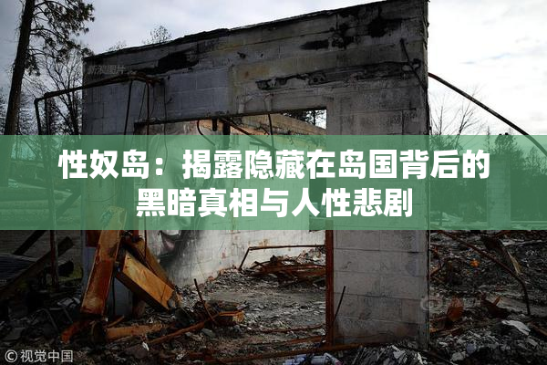 性奴岛：揭露隐藏在岛国背后的黑暗真相与人性悲剧