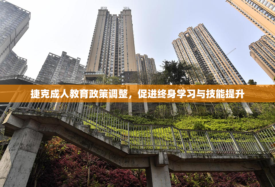 捷克成人教育政策调整，促进终身学习与技能提升