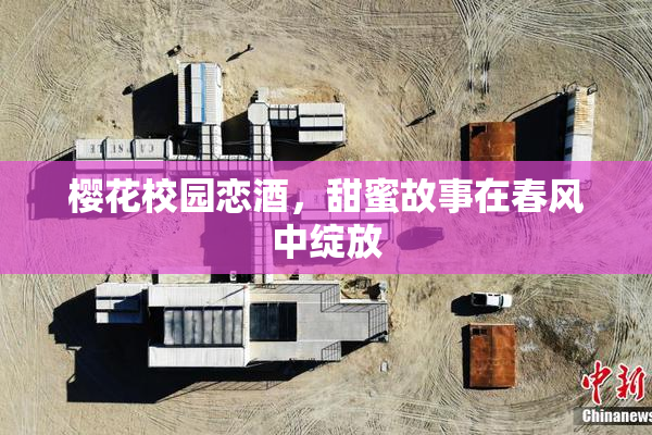 樱花校园恋酒，甜蜜故事在春风中绽放