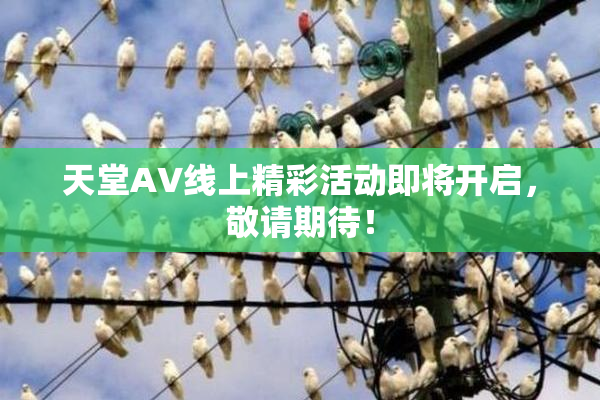 天堂A∨线上精彩活动即将开启，敬请期待！