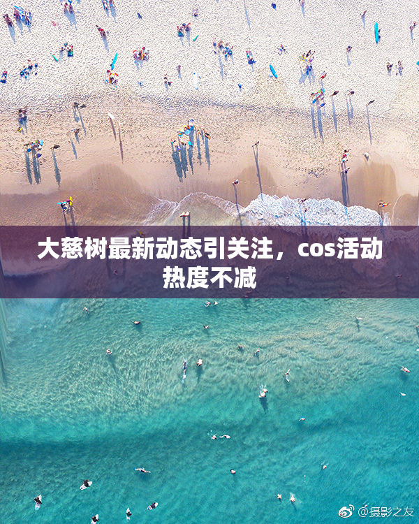 大慈树最新动态引关注，cos活动热度不减