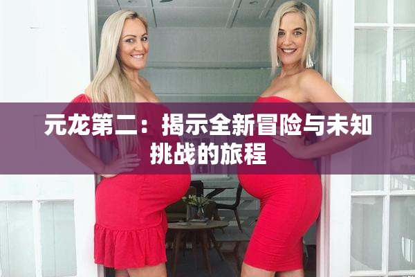 元龙第二：揭示全新冒险与未知挑战的旅程