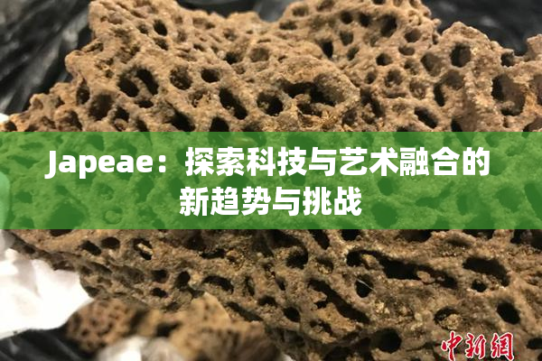 Japeae：探索科技与艺术融合的新趋势与挑战