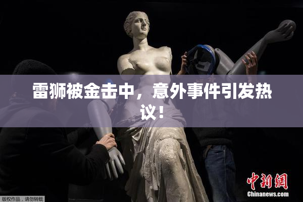 雷狮被金击中，意外事件引发热议！