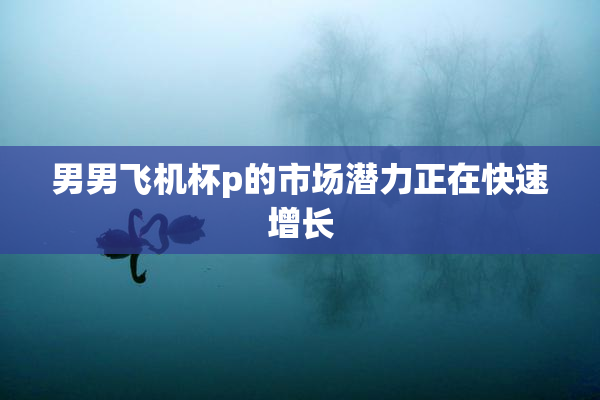 男男飞机杯p的市场潜力正在快速增长