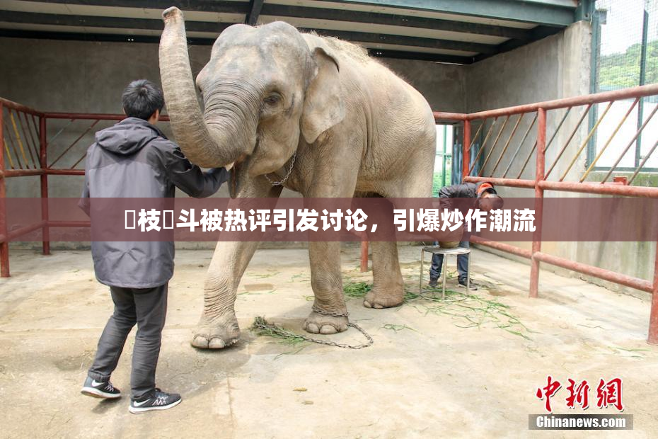 狛枝凪斗被热评引发讨论，引爆炒作潮流