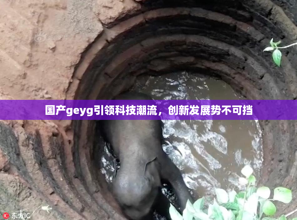 国产geyg引领科技潮流，创新发展势不可挡