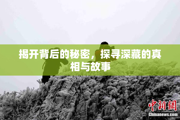 揭开背后的秘密，探寻深藏的真相与故事