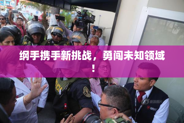纲手携手新挑战，勇闯未知领域！