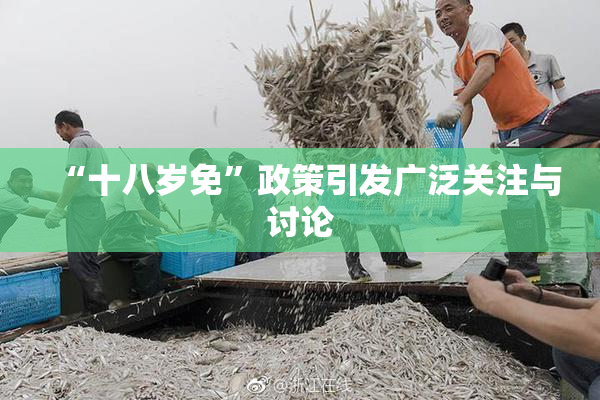 “十八岁免”政策引发广泛关注与讨论
