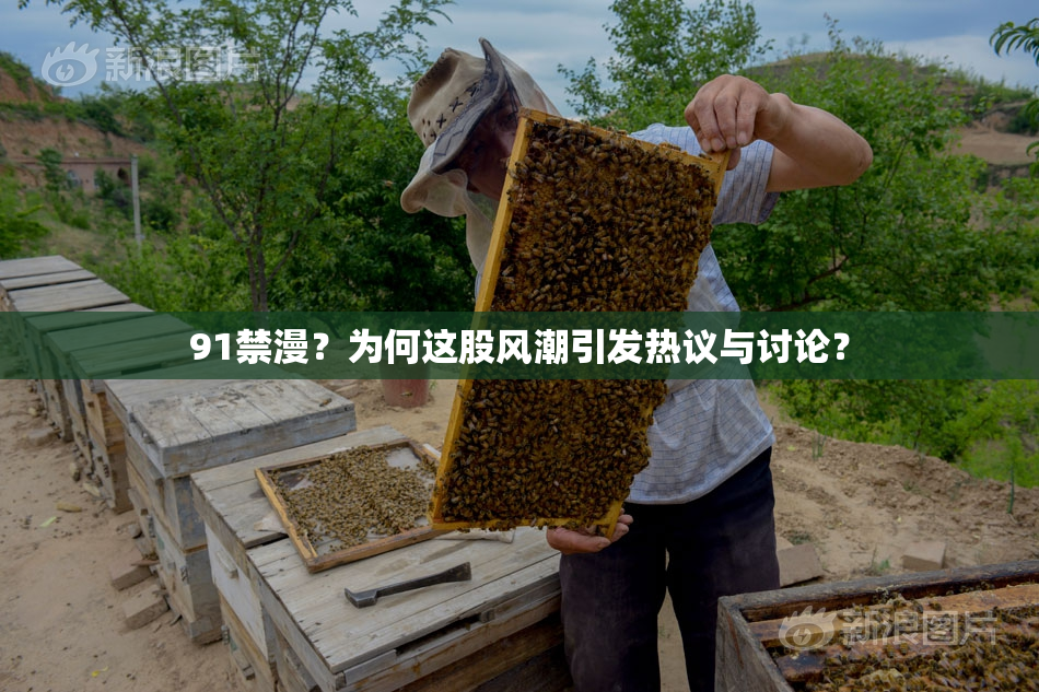 91禁漫？为何这股风潮引发热议与讨论？