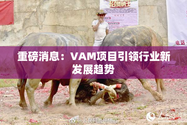 重磅消息：VAM项目引领行业新发展趋势