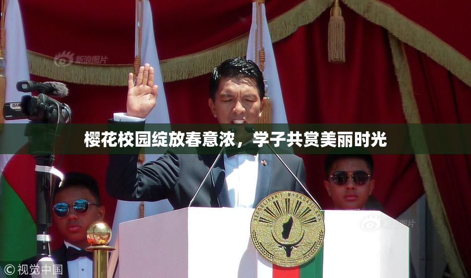 樱花校园绽放春意浓，学子共赏美丽时光