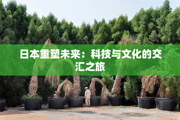 日本重塑未来：科技与文化的交汇之旅