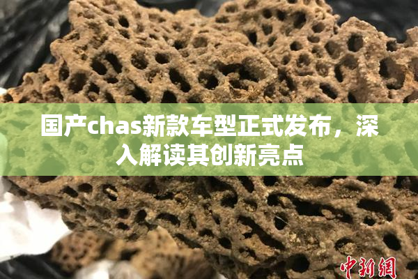 国产chas新款车型正式发布，深入解读其创新亮点
