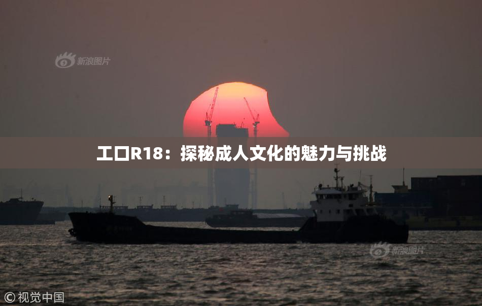 工口R18：探秘成人文化的魅力与挑战