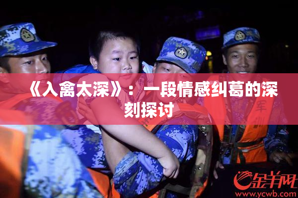 《入禽太深》：一段情感纠葛的深刻探讨
