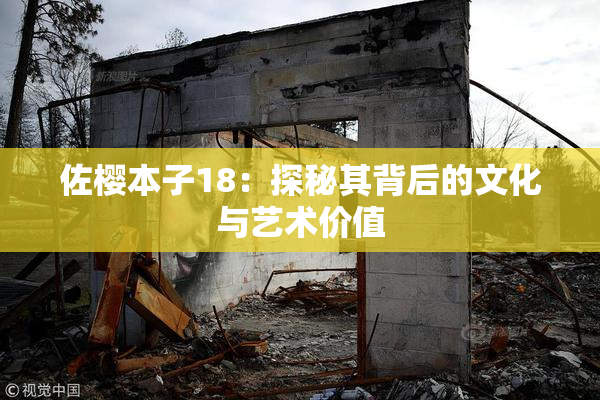 佐樱本子18：探秘其背后的文化与艺术价值
