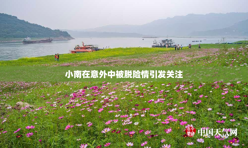 小南在意外中被脱险情引发关注