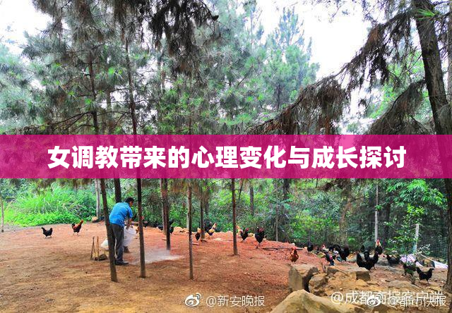 女调教带来的心理变化与成长探讨