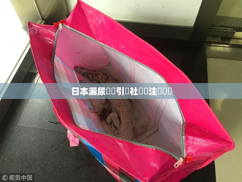 日本漏尿問題引發社會關注與討論