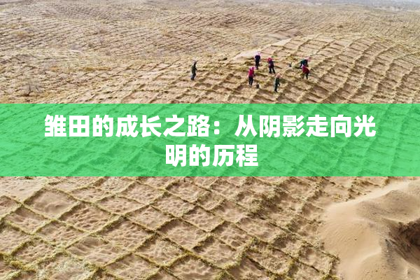 雏田的成长之路：从阴影走向光明的历程