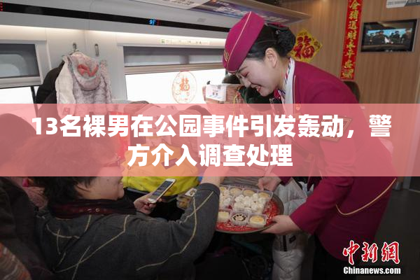 13名裸男在公园事件引发轰动，警方介入调查处理