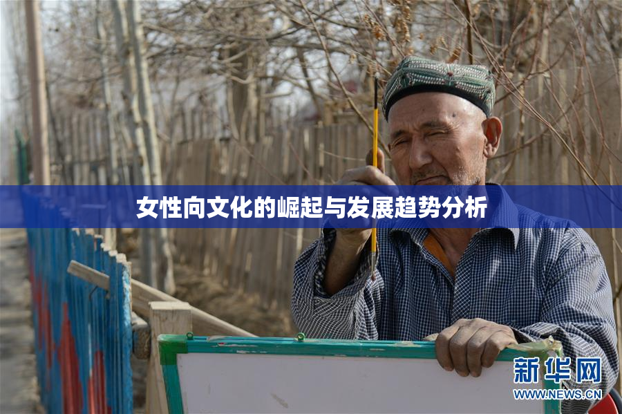 女性向文化的崛起与发展趋势分析