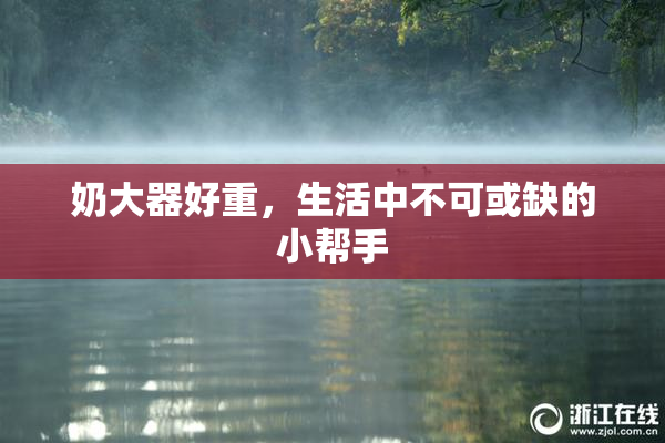 奶大器好重，生活中不可或缺的小帮手