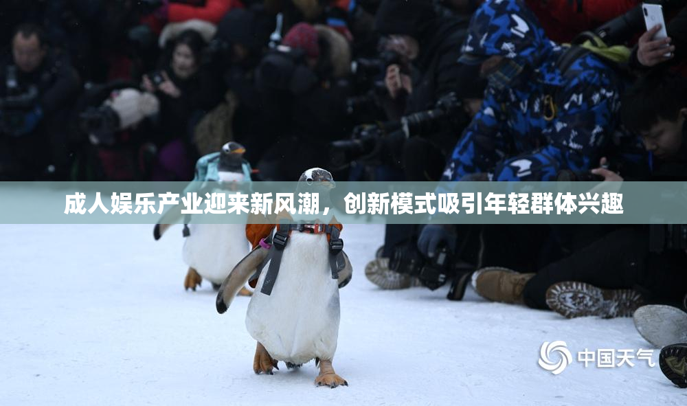 成人娱乐产业迎来新风潮，创新模式吸引年轻群体兴趣