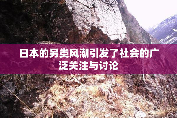 日本的另类风潮引发了社会的广泛关注与讨论