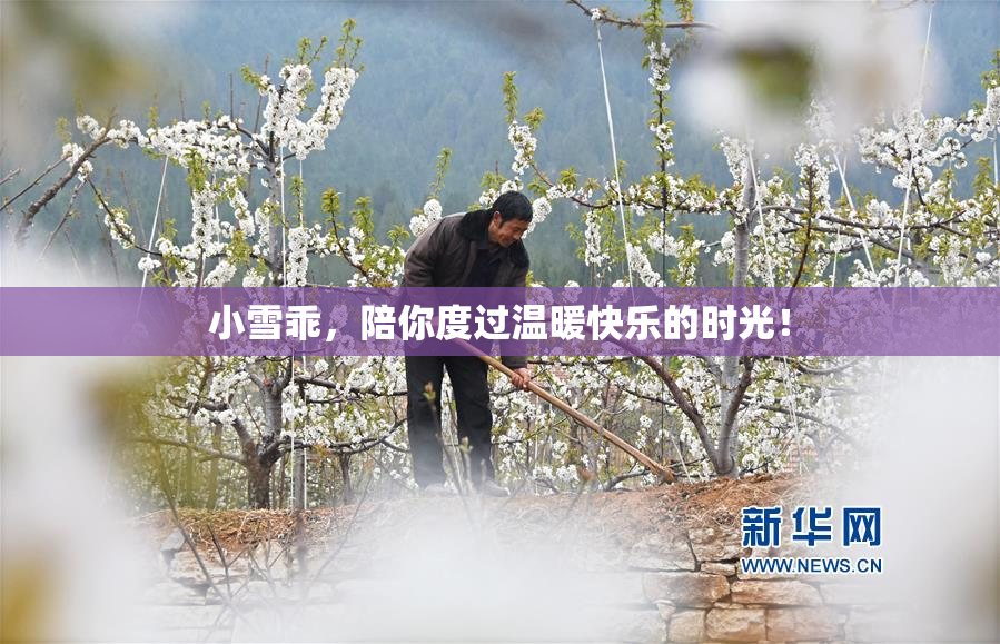小雪乖，陪你度过温暖快乐的时光！