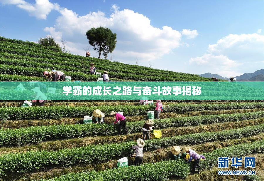 学霸的成长之路与奋斗故事揭秘