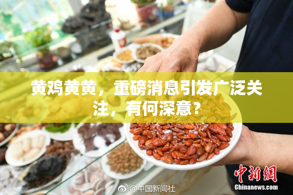黄鸡黄黄，重磅消息引发广泛关注，有何深意？