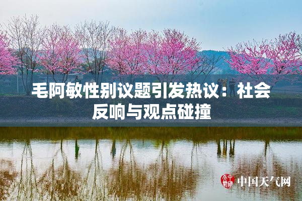 毛阿敏性别议题引发热议：社会反响与观点碰撞