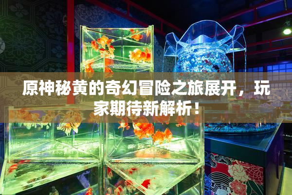 原神秘黄的奇幻冒险之旅展开，玩家期待新解析！