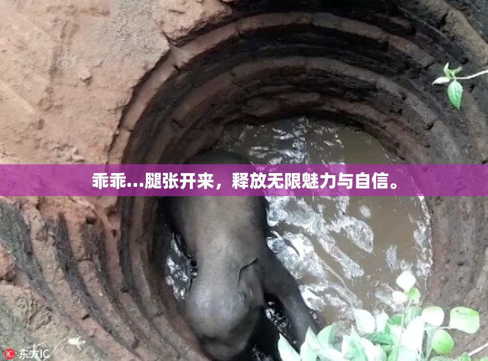 乖乖…腿张开来，释放无限魅力与自信。